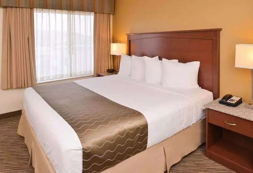 اتاق استاندارد با تخت بزرگ برای معلولان, Best Western Executive Inn & Suites