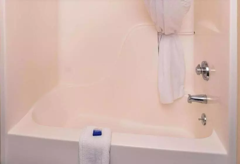 اتاق استاندارد با تخت بزرگ برای معلولان, Best Western Executive Inn & Suites