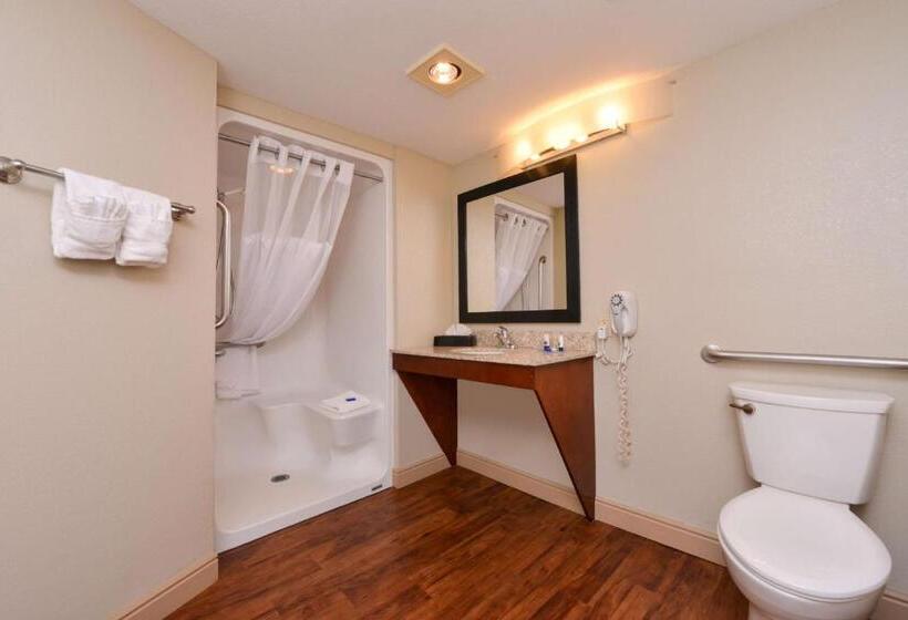 장애인을 위한 킹사이즈 침대 스탠다드 룸, Best Western Executive Inn & Suites