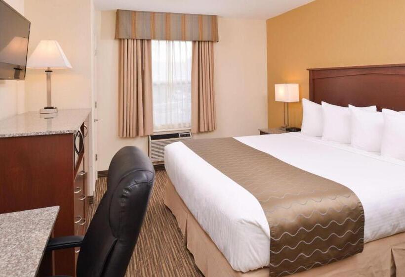 身障者適用キングサイズベッドルーム, Best Western Executive Inn & Suites