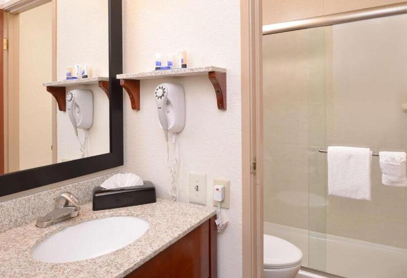 Стандартный Номер Кровать Кинг, Best Western Executive Inn & Suites