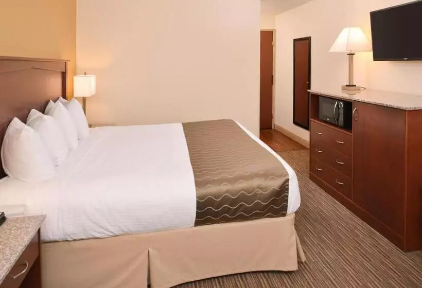 اتاق لوکس با تخت بزرگ, Best Western Executive Inn & Suites