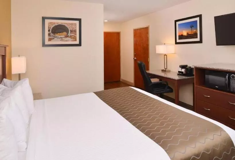 اتاق لوکس با تخت بزرگ, Best Western Executive Inn & Suites