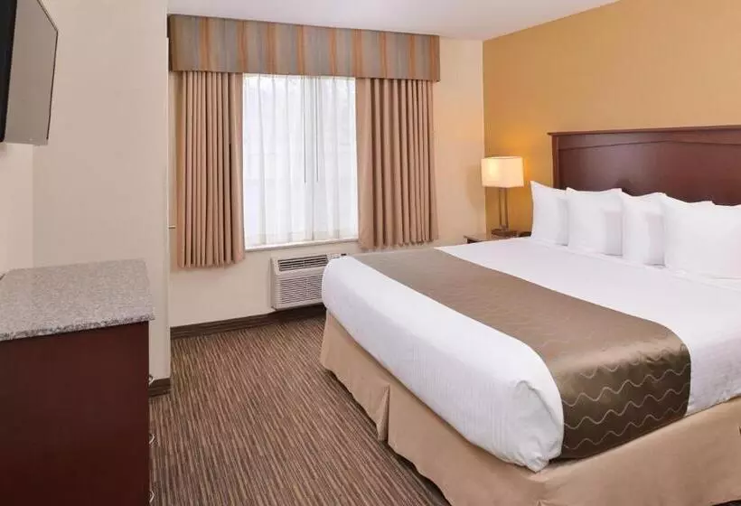 اتاق لوکس با تخت بزرگ, Best Western Executive Inn & Suites