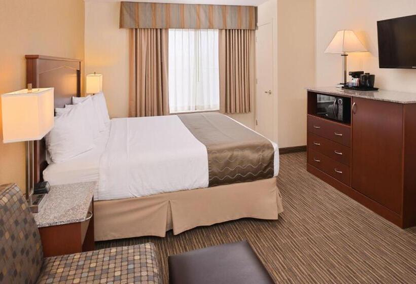 스탠다드 룸 킹사이즈 침대, Best Western Executive Inn & Suites