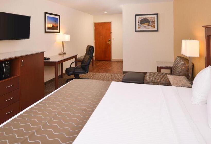 キングサイズベッドのデラックスルーム, Best Western Executive Inn & Suites
