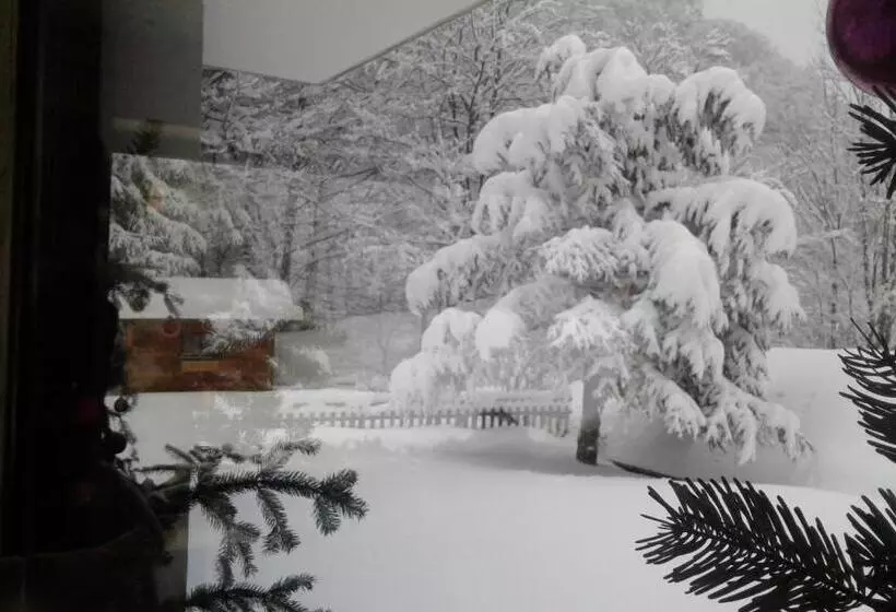 اتاق استاندارد, Flor Alpes