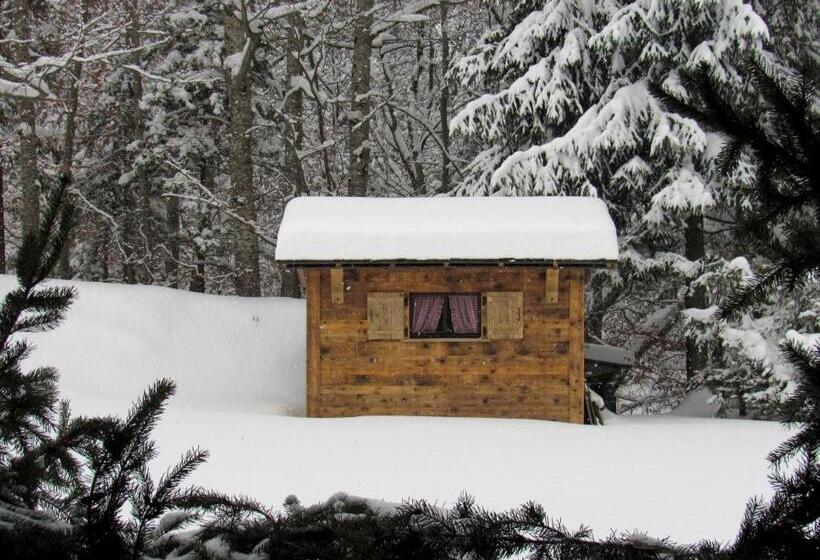 חדר סטנדרט לארבעה, Flor Alpes