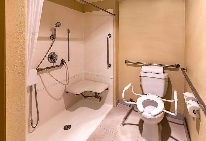 اتاق استاندارد با تخت بزرگ برای معلولان, Hyland Inn Near Pasadena Civic Center