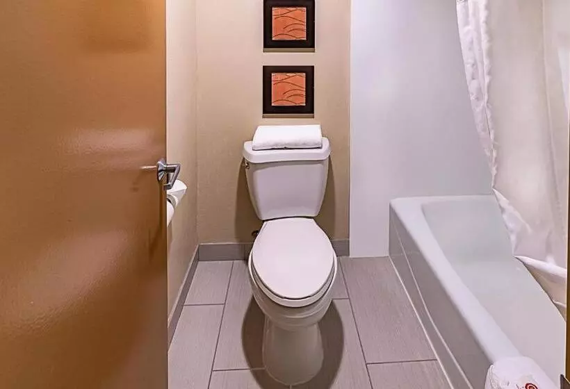 سوئیت با تخت بزرگ, Hyland Inn Near Pasadena Civic Center