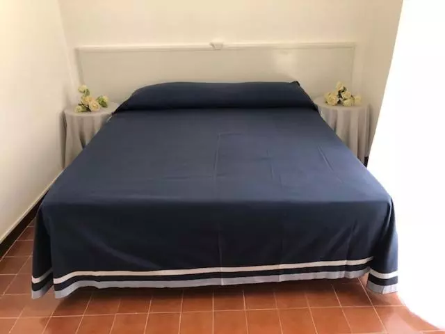 آپارتمان 1 خوابه با تراس, Nazionale