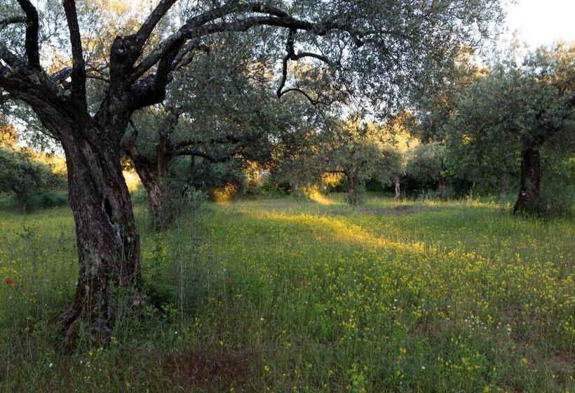 适合残疾人使用的标准间, Restaurant Le Gardon   Pont Du Gard