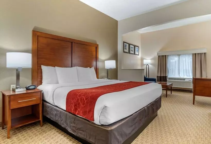 スイート, Comfort Suites Airport