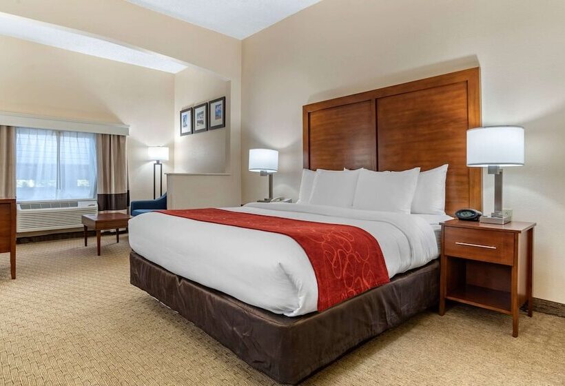 Люкс, Comfort Suites Airport