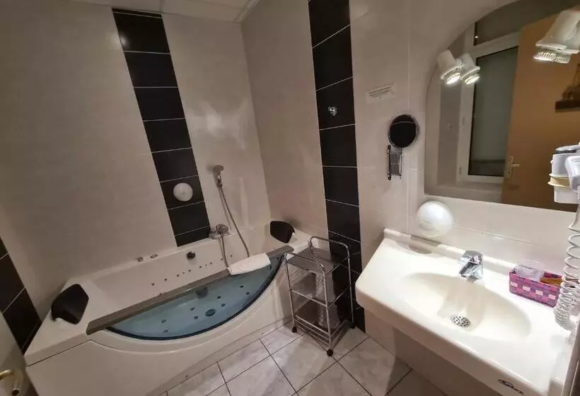 スーペリアールーム, Hostellerie Du Cantal