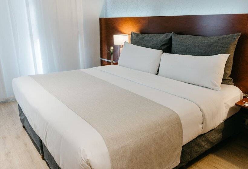 스탠다드 룸, Rochester Hotel Concept