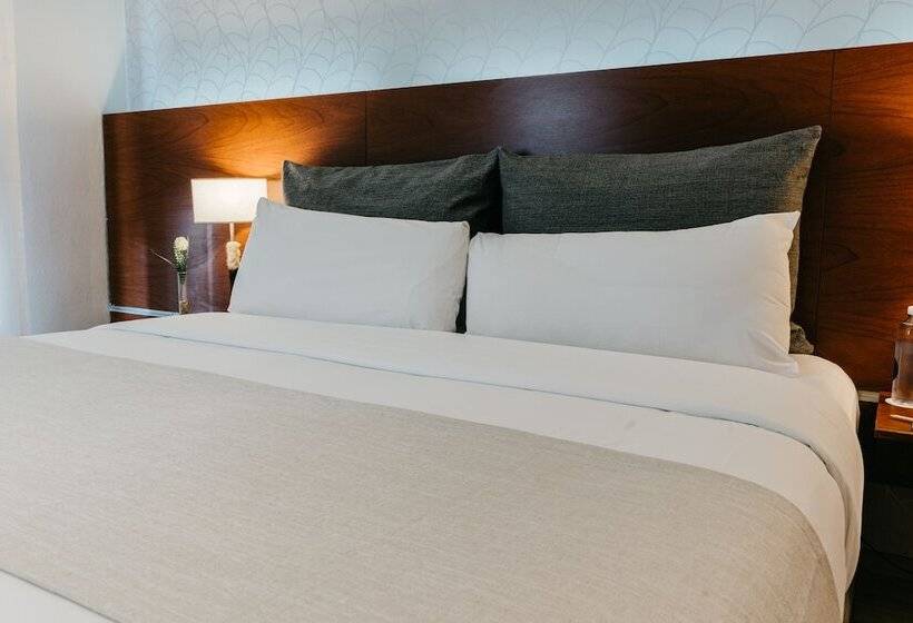 스탠다드 룸, Rochester Hotel Concept