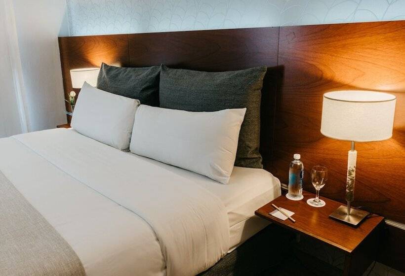 스탠다드 룸, Rochester Hotel Concept