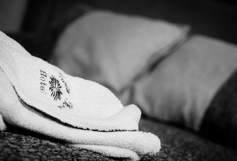 غرفة قياسية, Santa Rosa