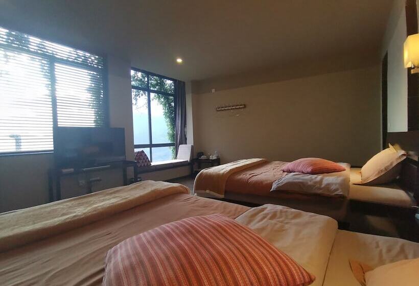 غرفه قياسيه سريرين مزدوجين, Beyond The Cloud