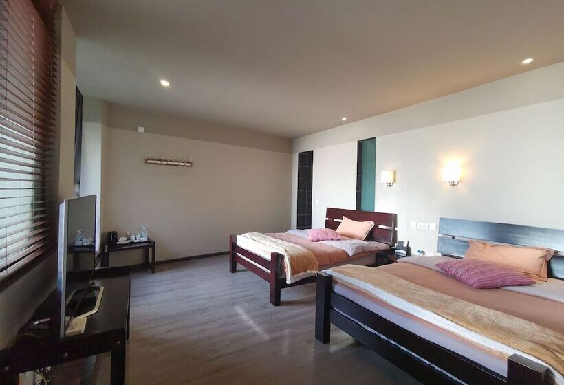 غرفه قياسيه سريرين مزدوجين, Beyond The Cloud