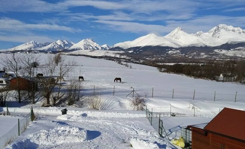 غرفة قياسية سرير مزدوج, Bluebell