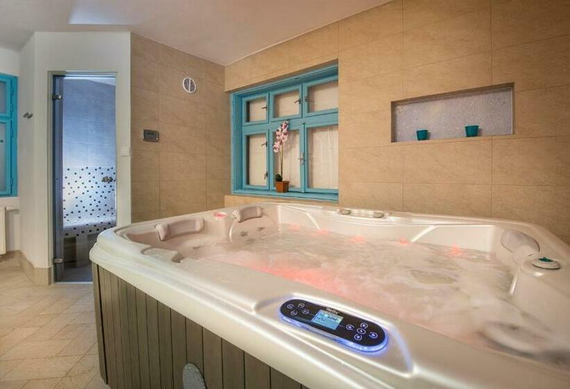 Номер Стандарт Индивидуальный, Penzión čerešňový Sad & Wellness