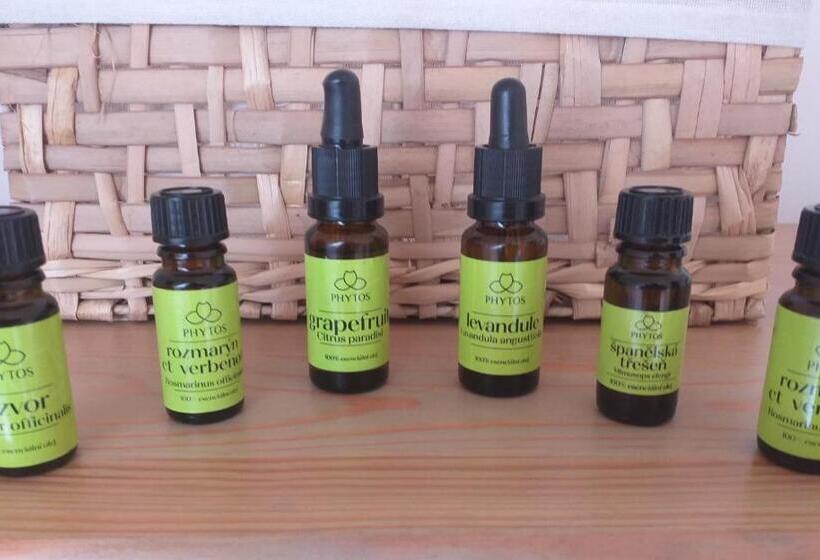 Номер Стандарт Индивидуальный, Penzión čerešňový Sad & Wellness