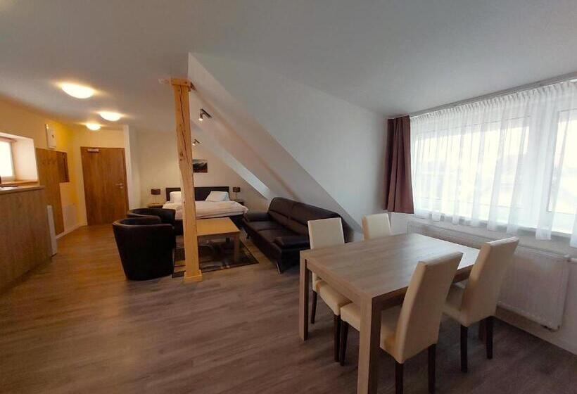 Номер Стандарт, Penzión čerešňový Sad & Wellness