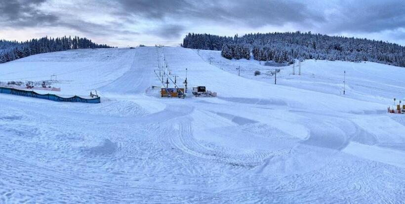 Номер Стандарт с Балконом, Penzión čerešňový Sad & Wellness