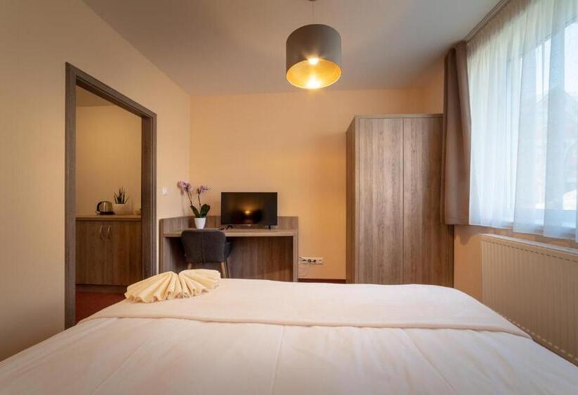 Номер Стандарт, Penzión čerešňový Sad & Wellness