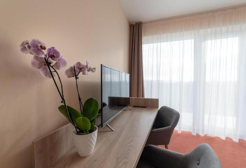 Номер Стандарт с Балконом, Penzión čerešňový Sad & Wellness