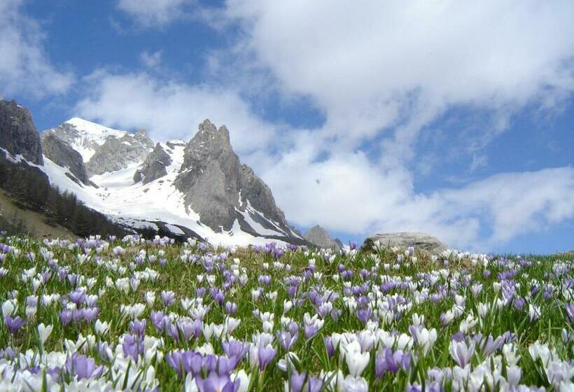 스탠다드 트리플 룸, Biancaneve