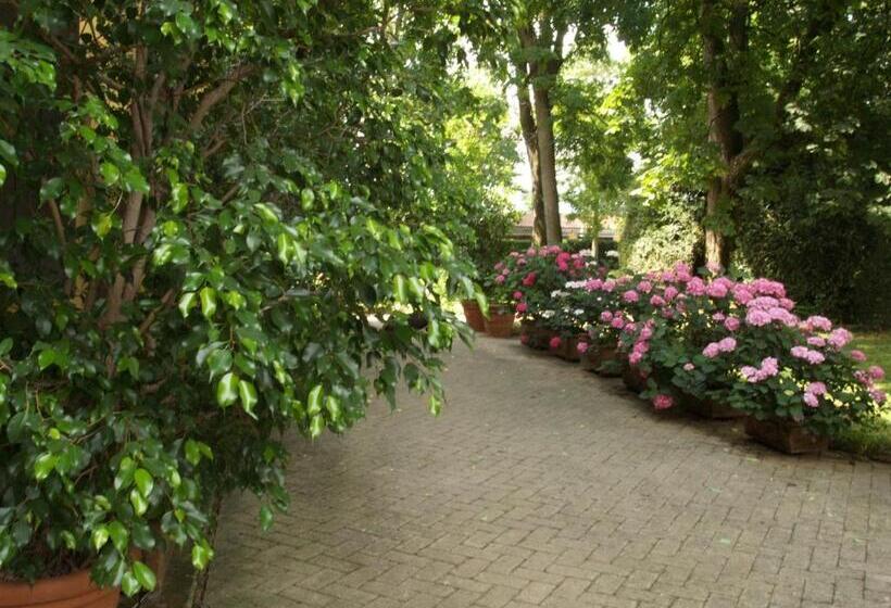 اتاق استاندارد با تخت بزرگ, Villa Ghia