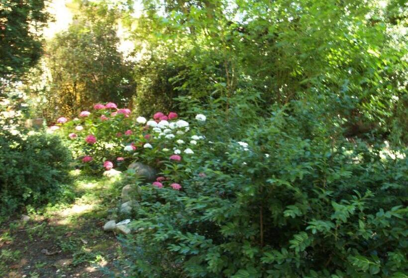 Chambre Standard Lit King Size, Villa Ghia