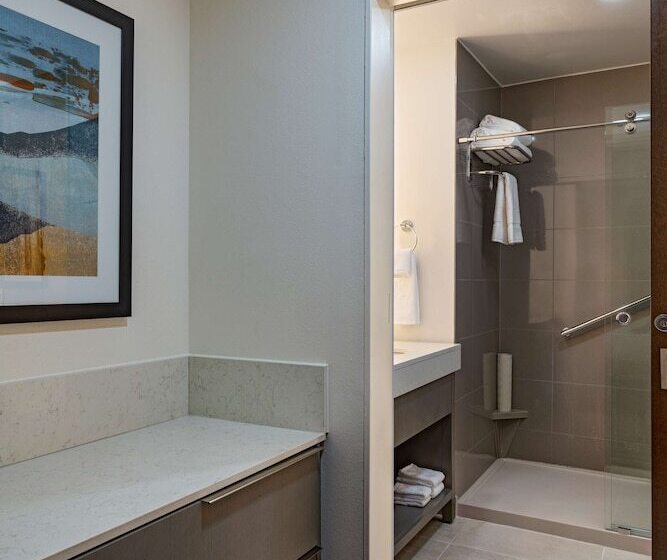 带四张床的标准工作室, Hyatt House Carlsbad