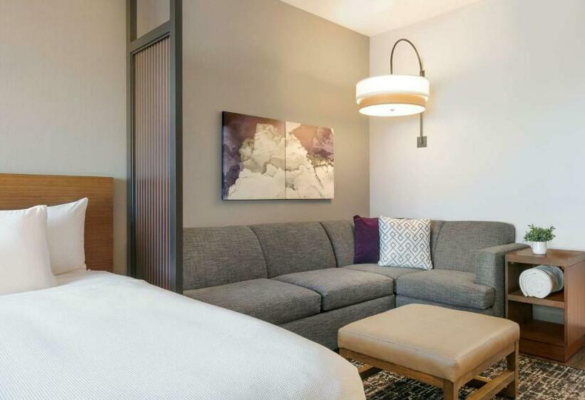 キングサイズベッドのスタンダードルーム, Hyatt Place Fort Worth/tcu