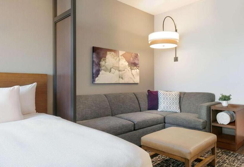 身障者適用キングサイズベッドルーム, Hyatt Place Fort Worth/tcu