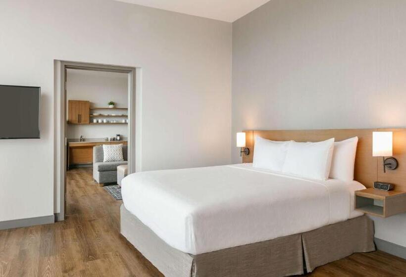 身障者適用スイートルーム, Hyatt Place Fort Worth/tcu