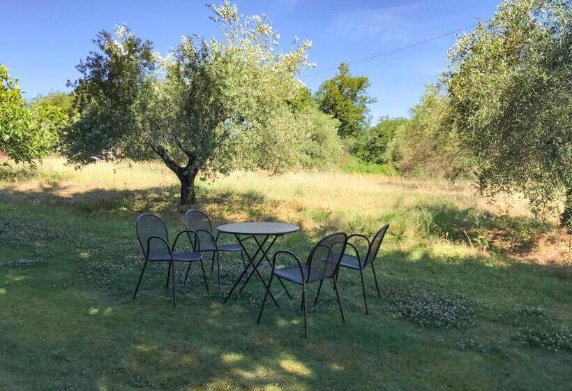 1 Szobás Apartman, Agriturismo Testalepre