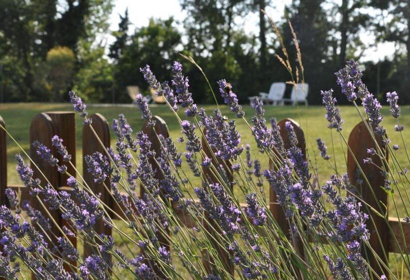 1 Szobás Apartman, Agriturismo Testalepre