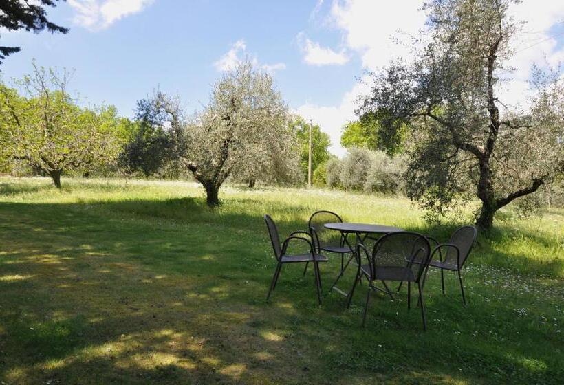 Апартаменты 1 Спальня, Agriturismo Testalepre