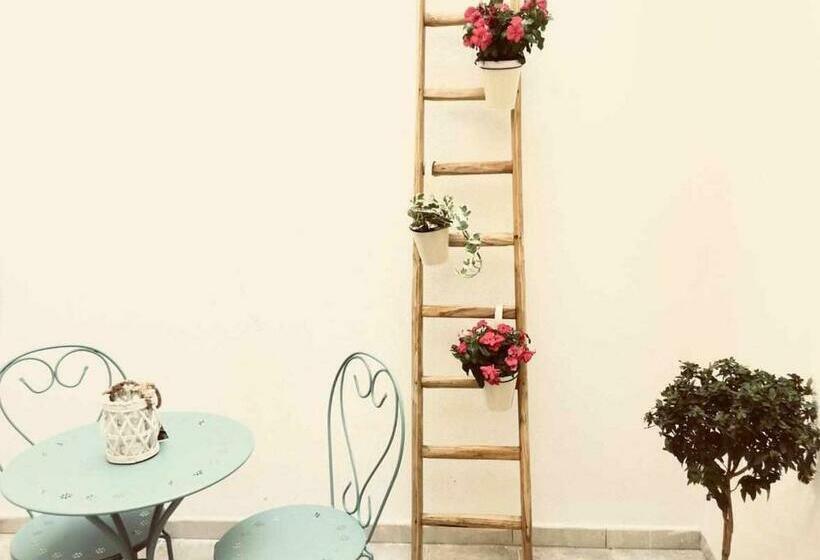 اتاق خانوادگی, Wish Rooms Lecce