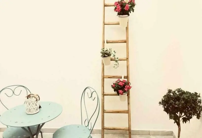 اتاق خانوادگی, Wish Rooms Lecce