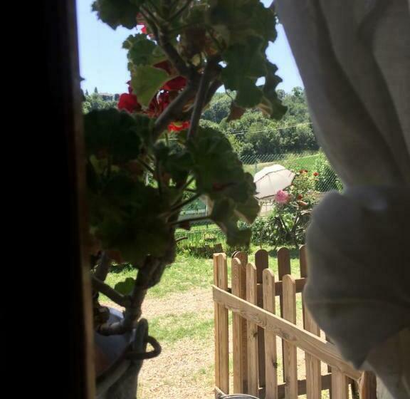 غرفة كلاسيكية ثلاثية, Oca Carolina