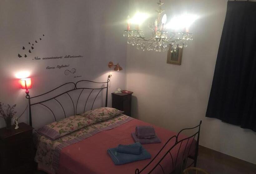 غرفة كلاسيكية ثلاثية, Oca Carolina