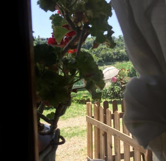 غرفة كومفورت ثلاثية, Oca Carolina