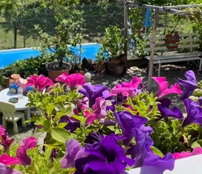 غرفة كلاسيكية ثلاثية, Oca Carolina