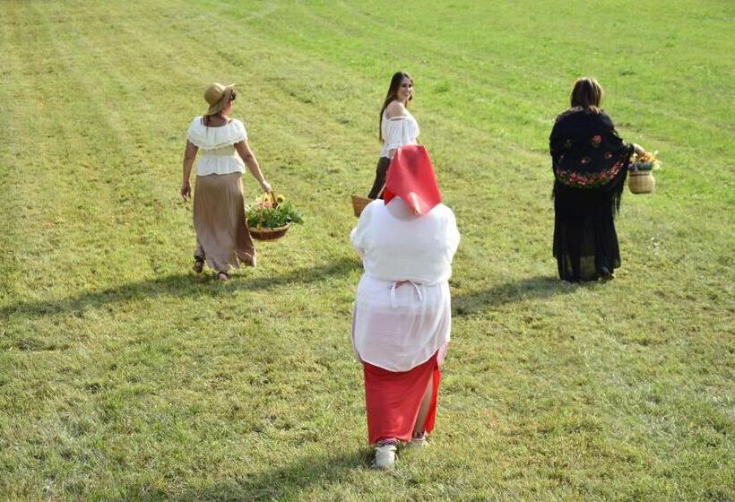 غرفة كلاسيكية ثلاثية, Oca Carolina