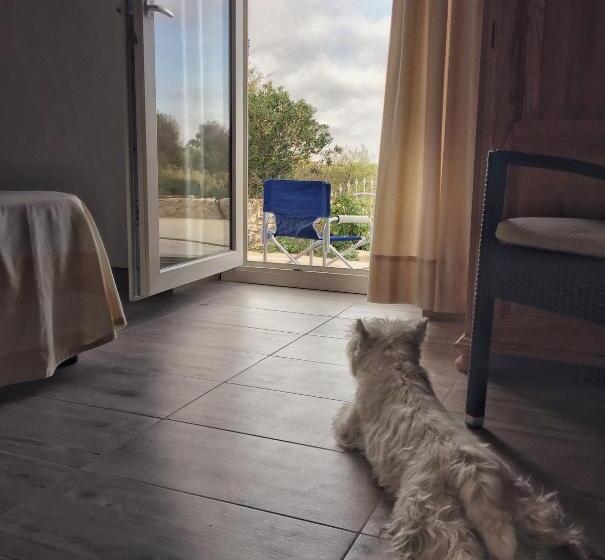 غرفة سوبيريور سرير كينج, Villa Brigida